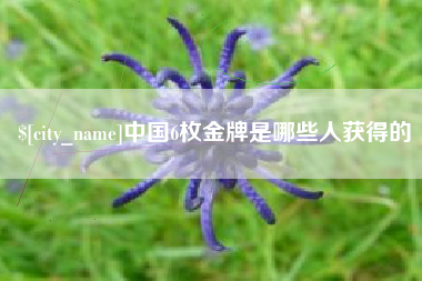 冷水江中国6枚金牌是哪些人获得的