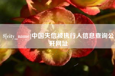 冷水江中国失信被执行人信息查询公开网址