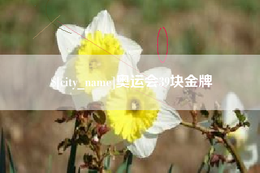 冷水江奥运会39块金牌