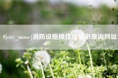 冷水江消防设施操作员证书查询网址