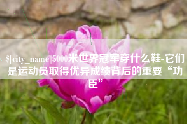 冷水江5000米世界冠军穿什么鞋-它们是运动员取得优异成绩背后的重要“功臣”