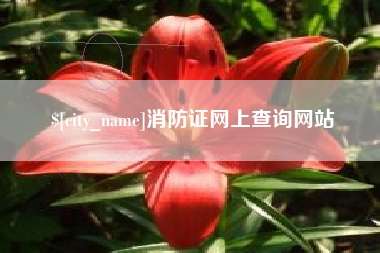 冷水江消防证网上查询网站