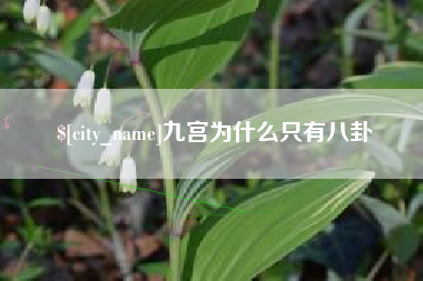 冷水江九宫为什么只有八卦