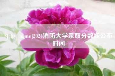 冷水江2024消防大学录取分数线公布时间