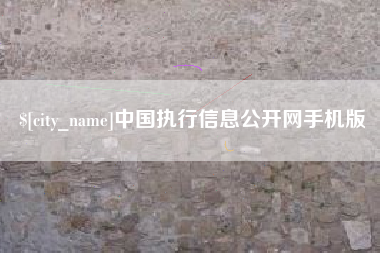 冷水江中国执行信息公开网手机版