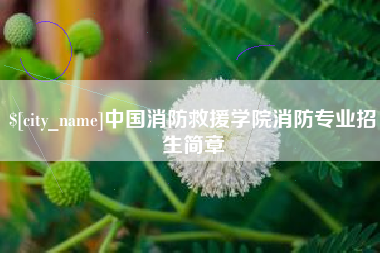 冷水江中国消防救援学院消防专业招生简章