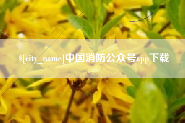 冷水江中国消防公众号app下载