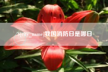冷水江我国消防日是哪日