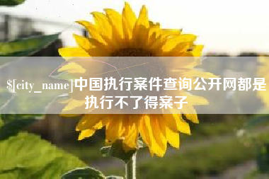 冷水江中国执行案件查询公开网都是执行不了得案子