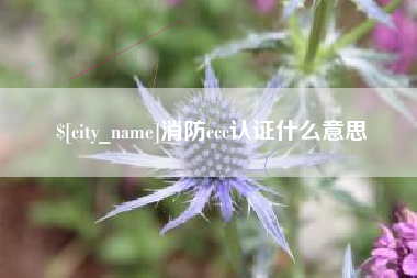 冷水江消防ccc认证什么意思