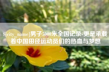 冷水江男子5000米全国记录-更是承载着中国田径运动员们的热血与梦想
