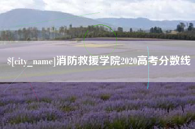 冷水江消防救援学院2020高考分数线