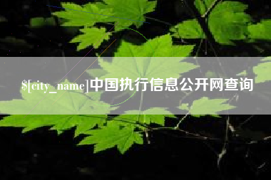 冷水江中国执行信息公开网查询