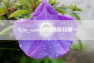 冷水江全国消防日哪一