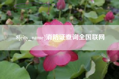 冷水江消防证查询全国联网