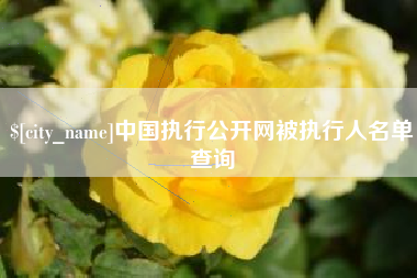 冷水江中国执行公开网被执行人名单查询