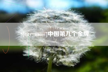 冷水江中国第九个金牌
