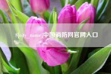 冷水江中国消防网官网入口
