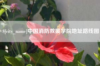 冷水江中国消防救援学院地址路线图