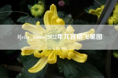 冷水江2022年九宫格飞星图