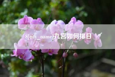 冷水江九宫如何排日