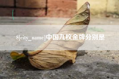 冷水江中国九枚金牌分别是