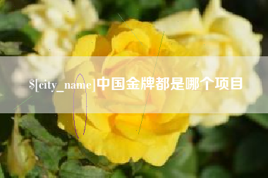 冷水江中国金牌都是哪个项目