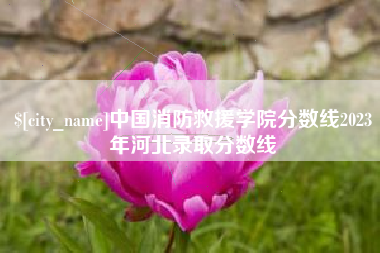 冷水江中国消防救援学院分数线2023年河北录取分数线