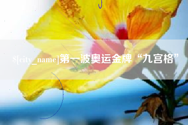 冷水江第一波奥运金牌“九宫格”