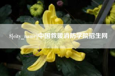 冷水江中国救援消防学院招生网