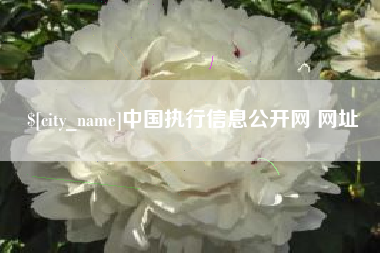 冷水江中国执行信息公开网 网址