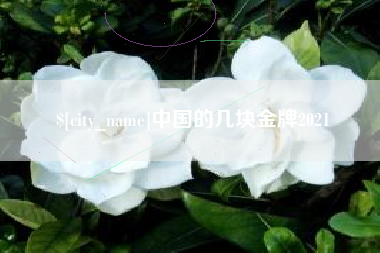 冷水江中国的几块金牌2021