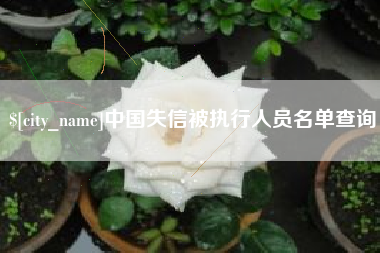 冷水江中国失信被执行人员名单查询