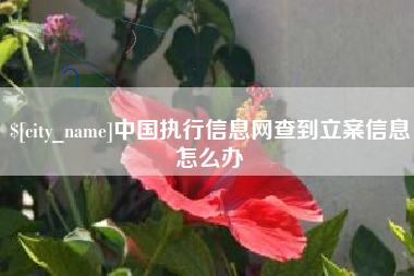 冷水江中国执行信息网查到立案信息怎么办