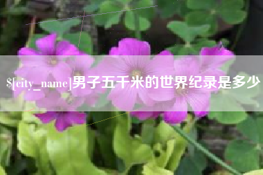冷水江男子五千米的世界纪录是多少