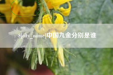 冷水江中国九金分别是谁