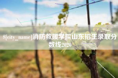 冷水江消防救援学院山东招生录取分数线2020