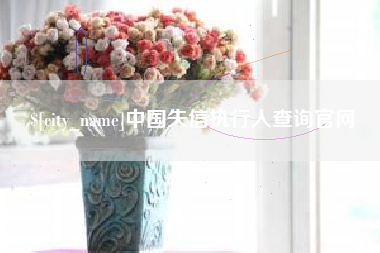 冷水江中国失信执行人查询官网