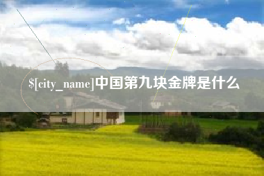 冷水江中国第九块金牌是什么