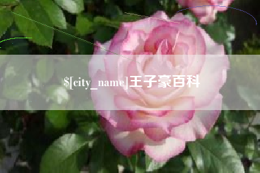 冷水江王子豪百科