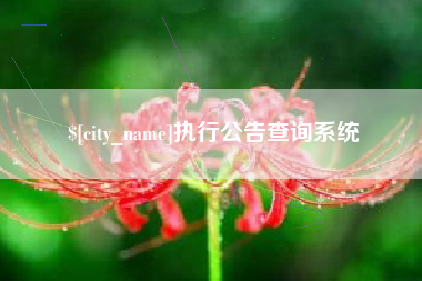 冷水江执行公告查询系统