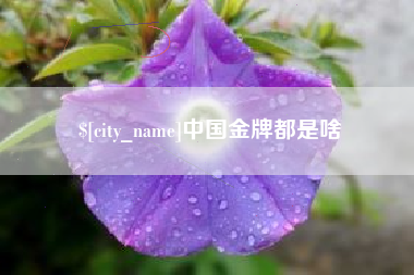 冷水江中国金牌都是啥