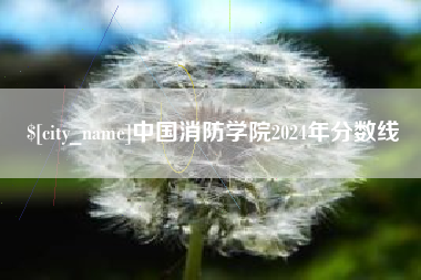 冷水江中国消防学院2024年分数线
