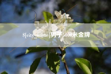 冷水江男子5000米金牌
