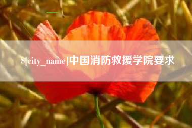 冷水江中国消防救援学院要求