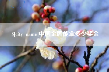 冷水江中国金牌能拿多少奖金