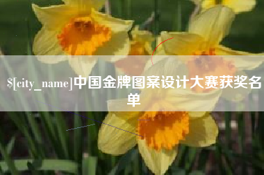冷水江中国金牌图案设计大赛获奖名单