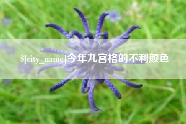 冷水江今年九宫格的不利颜色