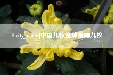 冷水江中国九枚金牌是哪九枚