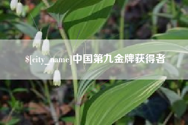 冷水江中国第九金牌获得者